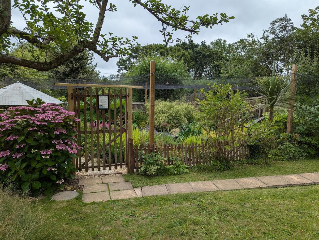'Monktonmead Lodge' In Secluded Setting, With Private Indoor Pool. 赖德 外观 照片