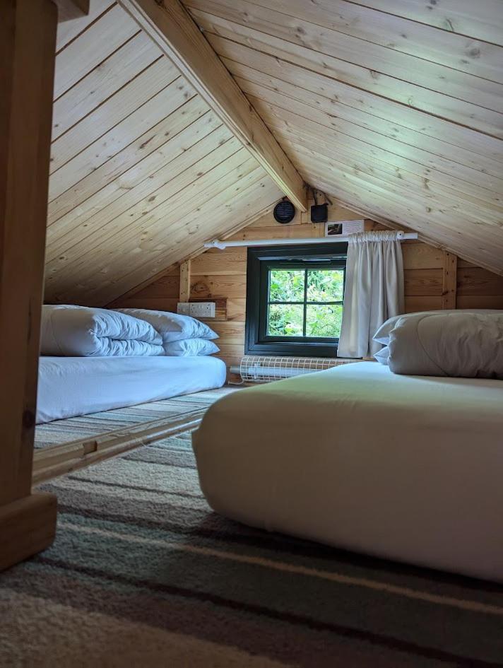 'Monktonmead Lodge' In Secluded Setting, With Private Indoor Pool. 赖德 外观 照片
