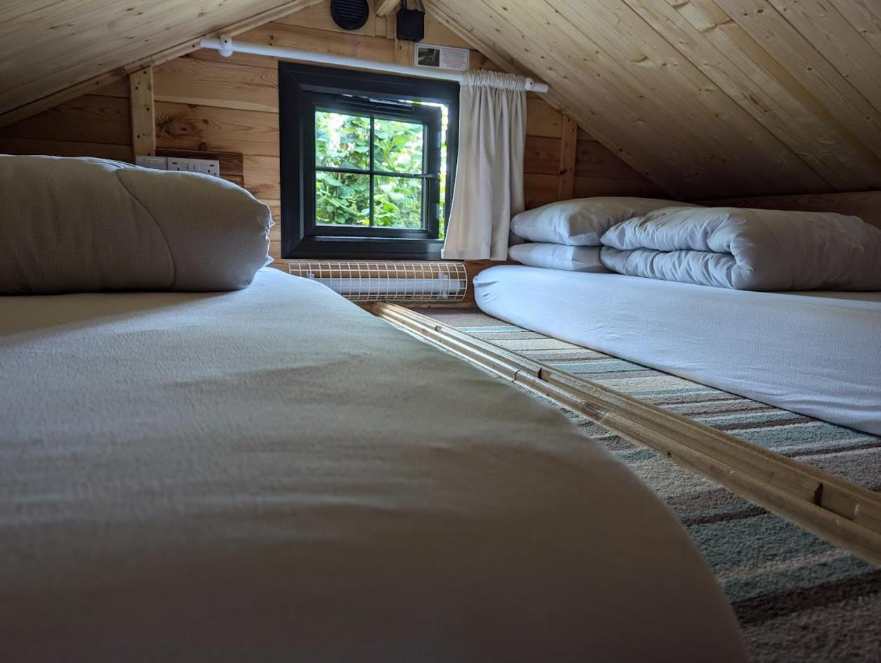 'Monktonmead Lodge' In Secluded Setting, With Private Indoor Pool. 赖德 外观 照片